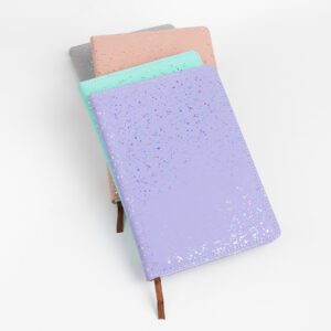 AGENDA DE CARTERA