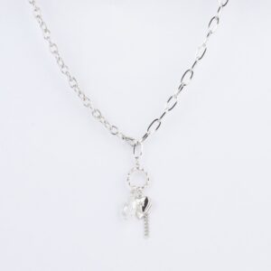 Alternative view of COLLAR DE ACERO