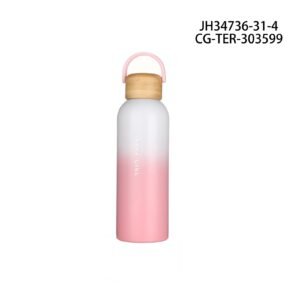 BOTELLA TERMO CON MANIJA CITY GIRL - 500ML